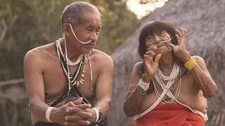 A Brazilian tribe is hooked to porn and social media, and the adults are fuming