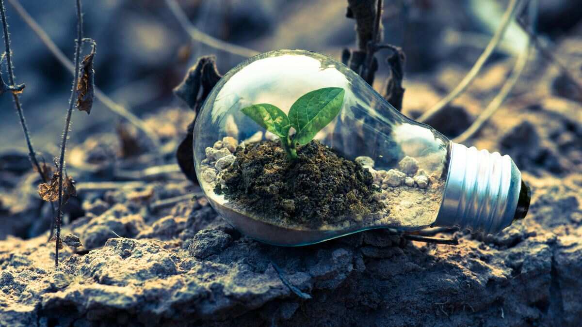 World Environment Day 2024: Facts, theme and more