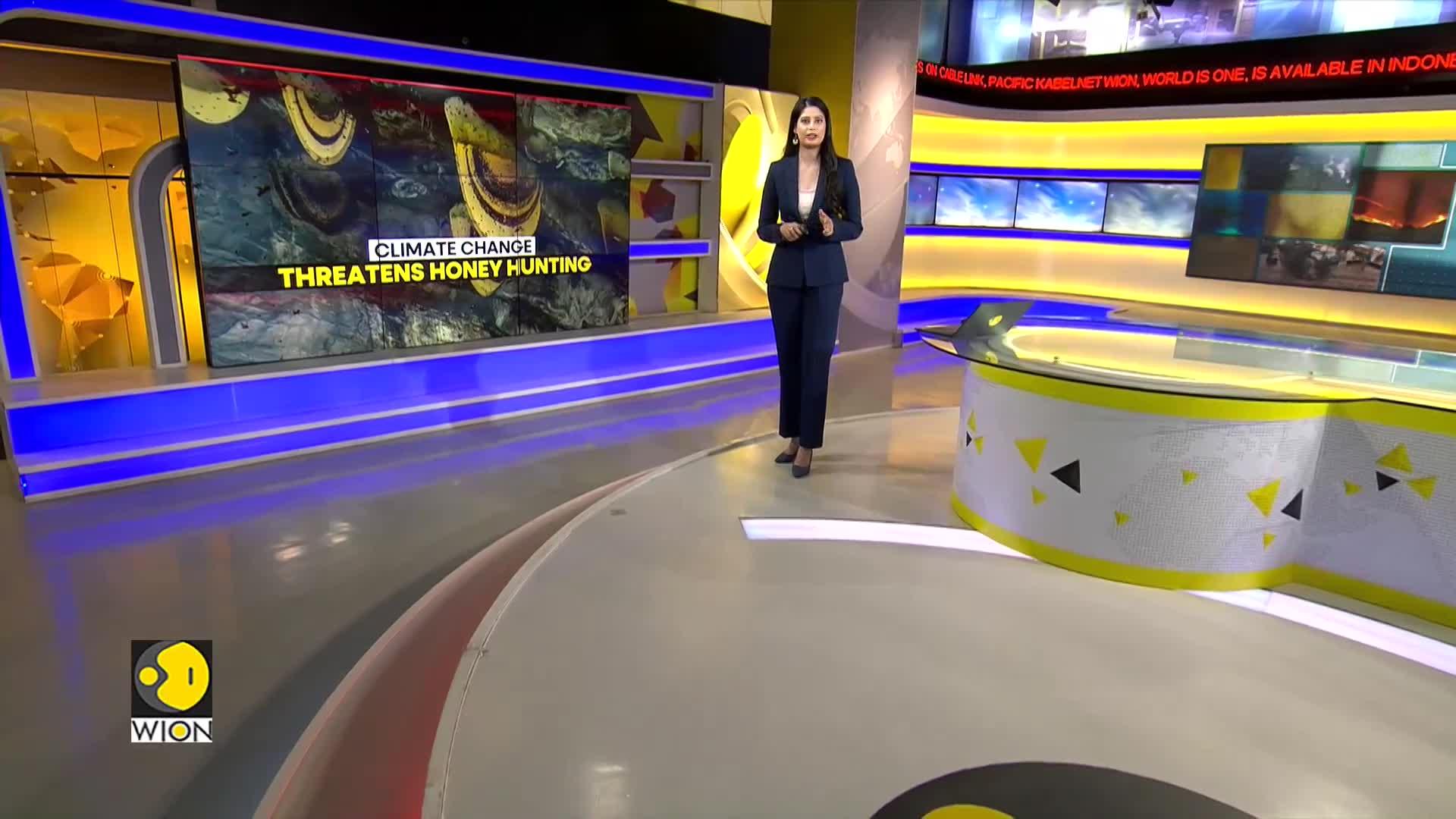 WionNews Video
