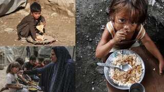 1 in 4 young children living in severe food poverty: UNICEF