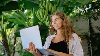 Chinese employees are growing bananas on desks to deal with office stress