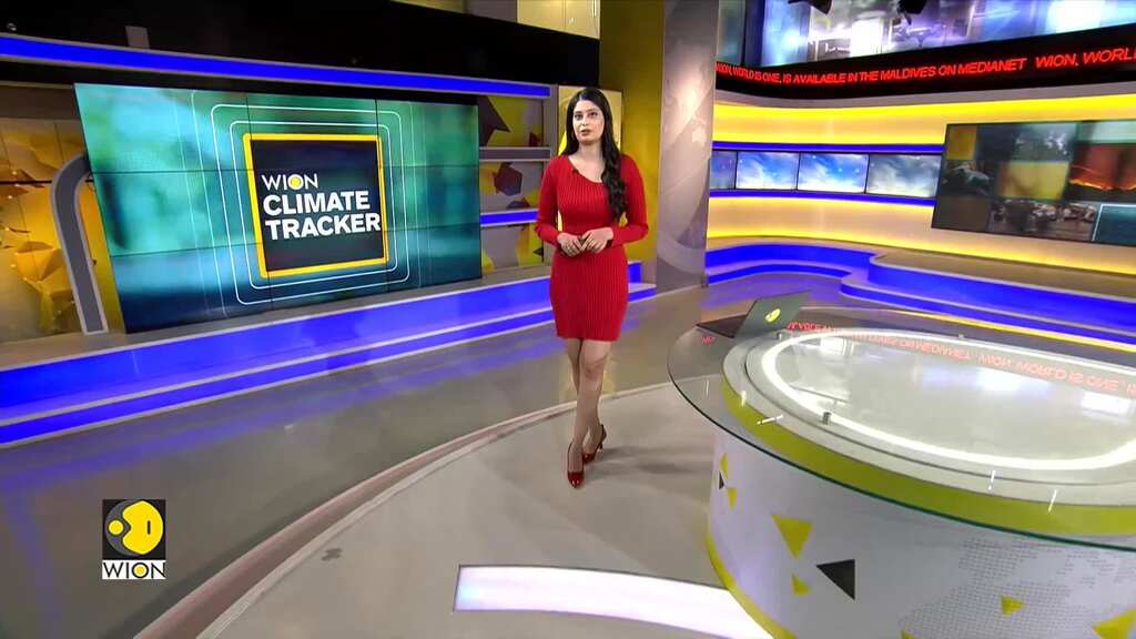 Mexico elects Sheinbaum as first woman president | A climate activist