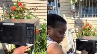 Microwave or mailbox? US grandma’s quirky recycling idea takes internet by storm