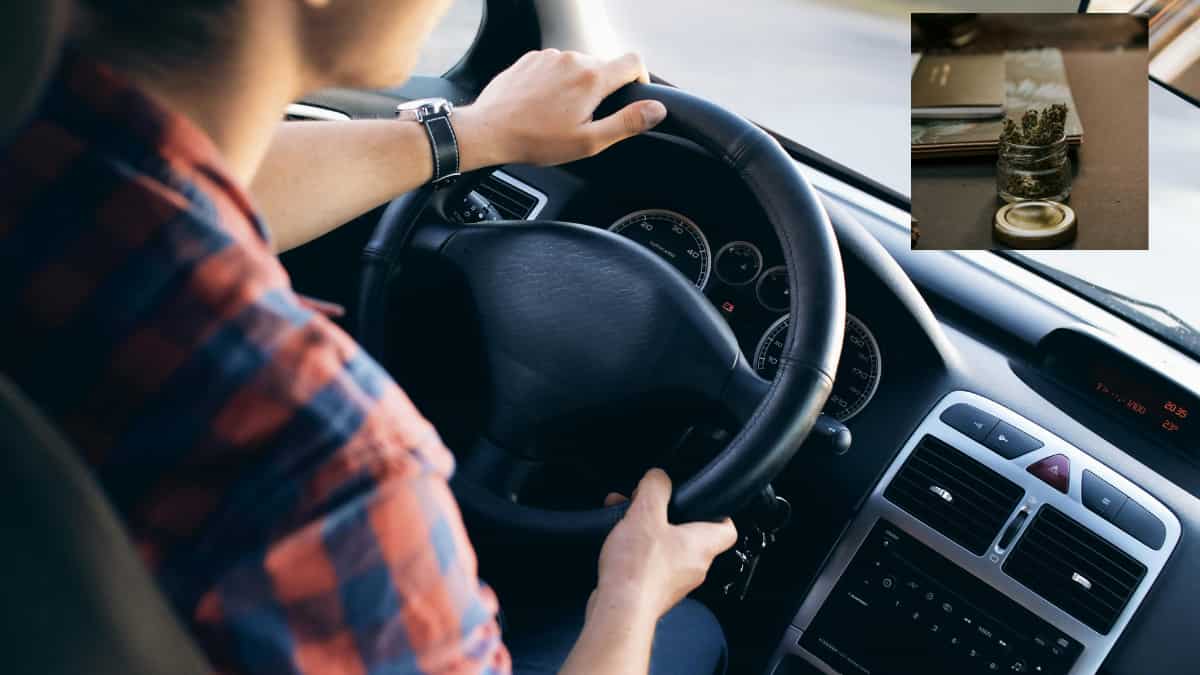 People in Germany allowed to smoke cannabis before driving, opposition censures move: Report