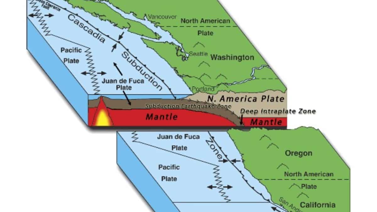 Washington, Vancouver Island epicentres of future Cascadian earthquakes: Study