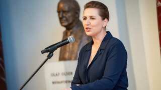 Polish man who attacked Danish PM Frederiksen remanded in 12-day custody