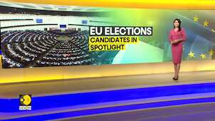 EU Parliament Elections 2024 | In the spotlight: European Union Parliament debutants
