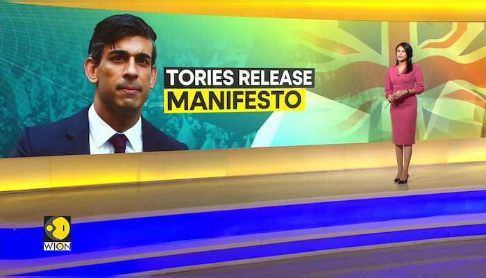 UK Elections 2024: Rishi Sunak unveils Party's election manifesto