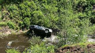 Heroic dog travels over 6 kilometres to save owner who fell in a ravine