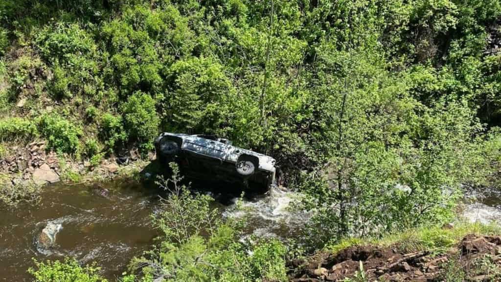 Heroic dog travels over 6 kilometres to save owner who fell in a ravine