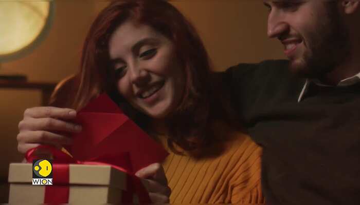 Pebbling: A dating trend inspired by penguins