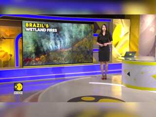 Brazil: Fires ravage world's largest tropical wetland, Brazilians describe fire as 'inferno' | WION