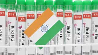 WHO confirms human case of bird flu in India after US and Mexico
