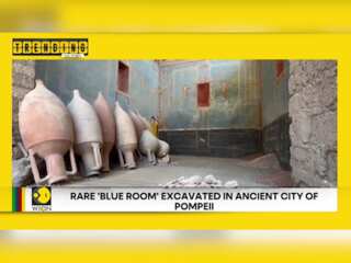 Mumbai woman finds human finger in ice cream | Rare 'Blue Room' excavated in Pompeii | WION Trending