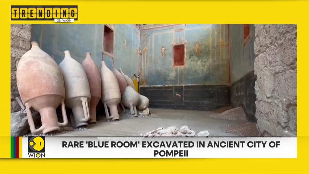 Mumbai woman finds human finger in ice cream | Rare 'Blue Room' excavated in Pompeii | WION Trending