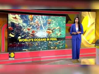 Climate Change disrupting life in our oceans
