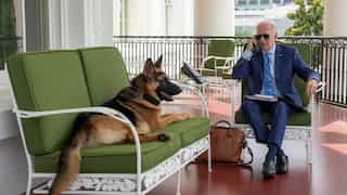 Biden's pet German Shepherd kept attacking security personnel right in front of him: Report