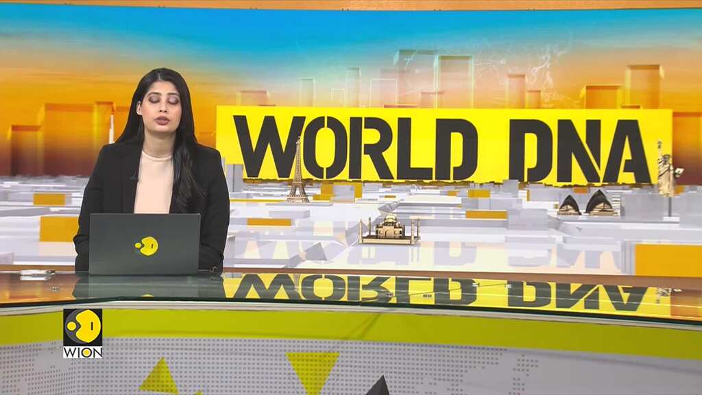 Morocco: Shortage of animals for Eid sacrifices as farmers unable to buy costly fodder