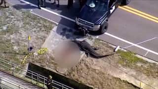 Alligator in Florida ingests homeless woman, bodycam footage released by wildlife authorities