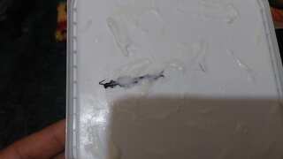 India: Noida woman finds centipede in ice cream ordered online. What could have happened next?