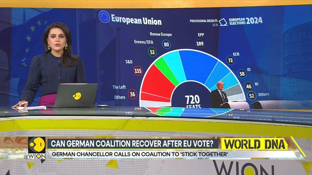 Can German coalition recover after EU vote? Chancellor Scholz calls on coaliton to 'stick together'