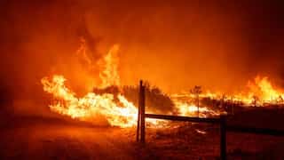 California wildfires: 1,200 evacuated from LA county as 'Post Fire' burns down 4,400 acres