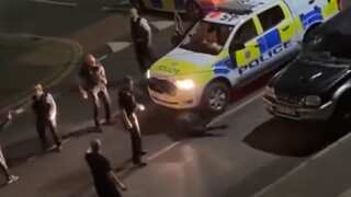 UK police officer who rammed car into runaway cow removed from duty