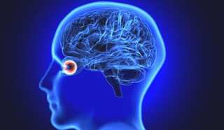 Man gets 12-inch stick stuck in eye, brain; Indian doctors perform rare surgery