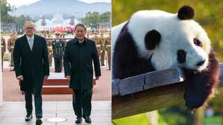 China's Premier announces new pandas for Australia during historic visit amid thawing relations