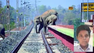 Boy from Tamil Nadu invents device to protect wild animals from accidents near railway tracks
