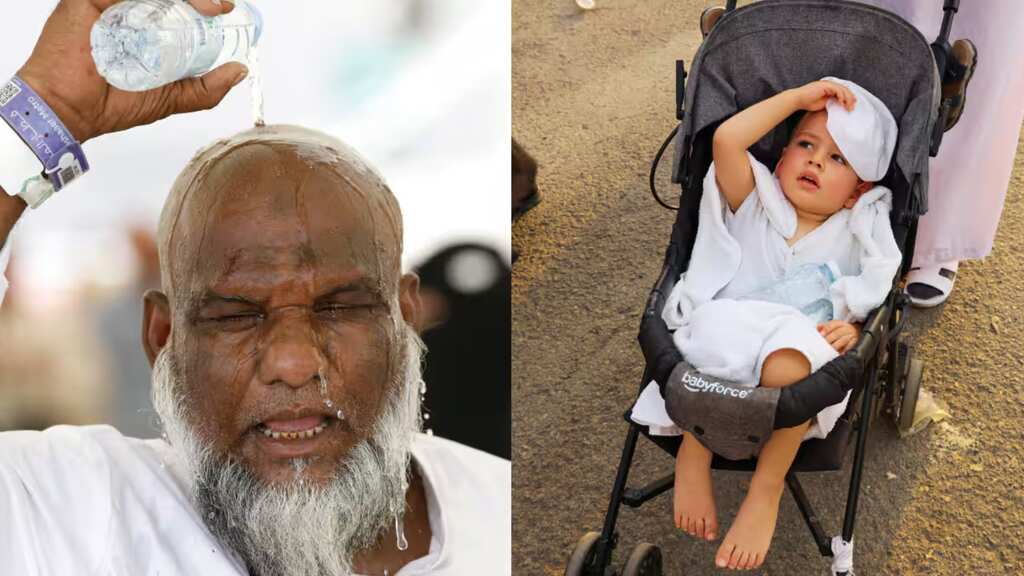 Hajj deaths 2024: Heatwave claims over 550 lives as temperatures hit 51.8 degrees Celsius in Mecca