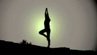 International Yoga Day 2024: Date, theme, history and significance