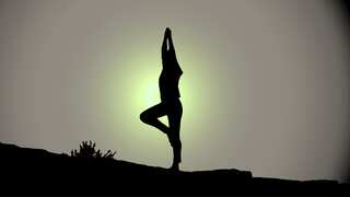 International Yoga Day 2024: Date, theme, history and significance