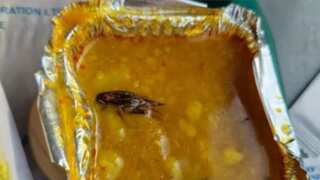 Indian Railways issues apology to couple who found 'cockroach' in food