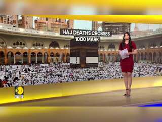 Hajj pilgrimage 2024: New deaths reported include 58 from Egypt