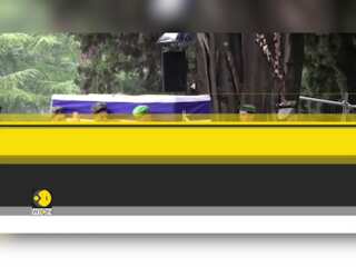 WION Headlines | IDF Gaza death toll surges to 314 | Delhi HC pauses Kejriwal bill
