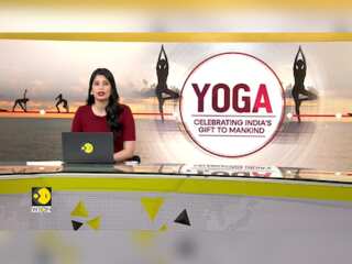 International Yoga Day 2024: Yoga at your fingertips with 'Down Dog' app