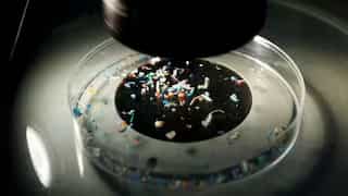 After human testicles, microplastics discovered in human penises for first time