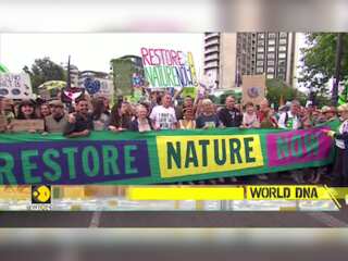 Thousands march in London for 'urgent political action' on nature