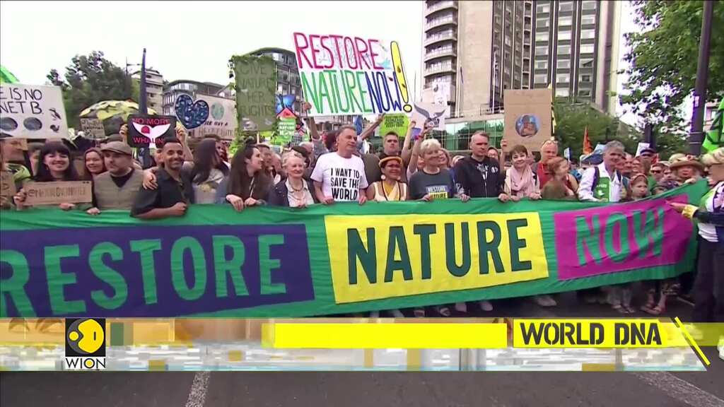 Thousands march in London for 'urgent political action' on nature