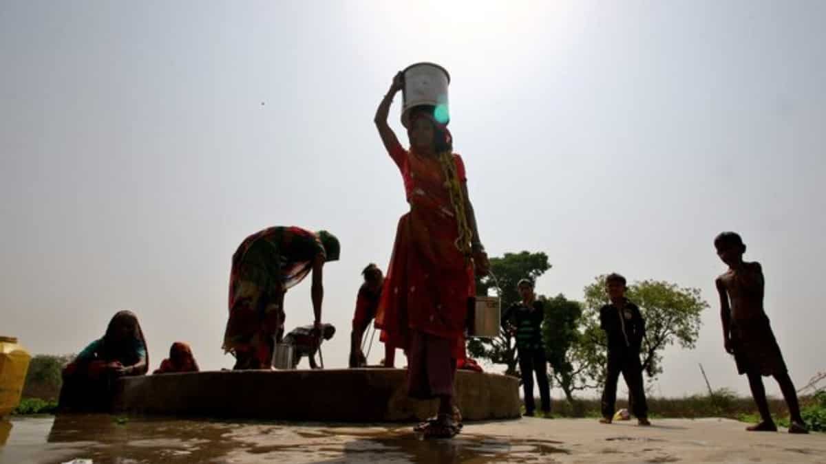 Indian activist shows trees can lower the temperature by six degrees Celcius amid heat wave