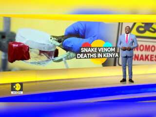 Kenya: scientists race to develop local anti venom