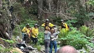 California hiker missing for 10 days survived on wild berries and water stored in boots