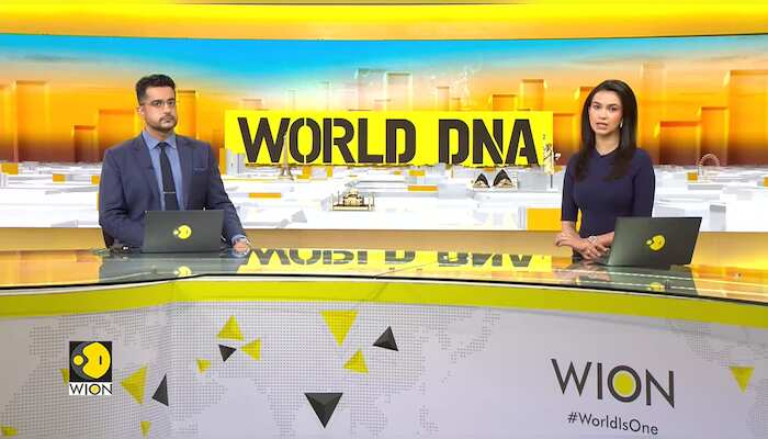 UK elections 2024: Sunak to lose seat in major Tory wipeout?