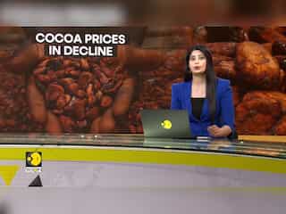 Cocoa prices fall after peaking above $11,000