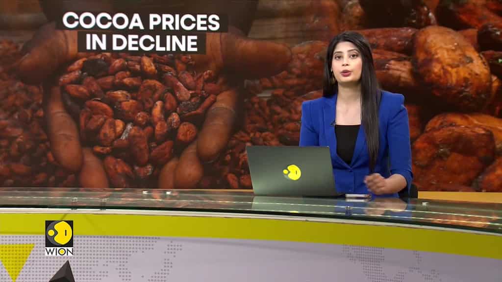 Cocoa prices fall after peaking above $11,000