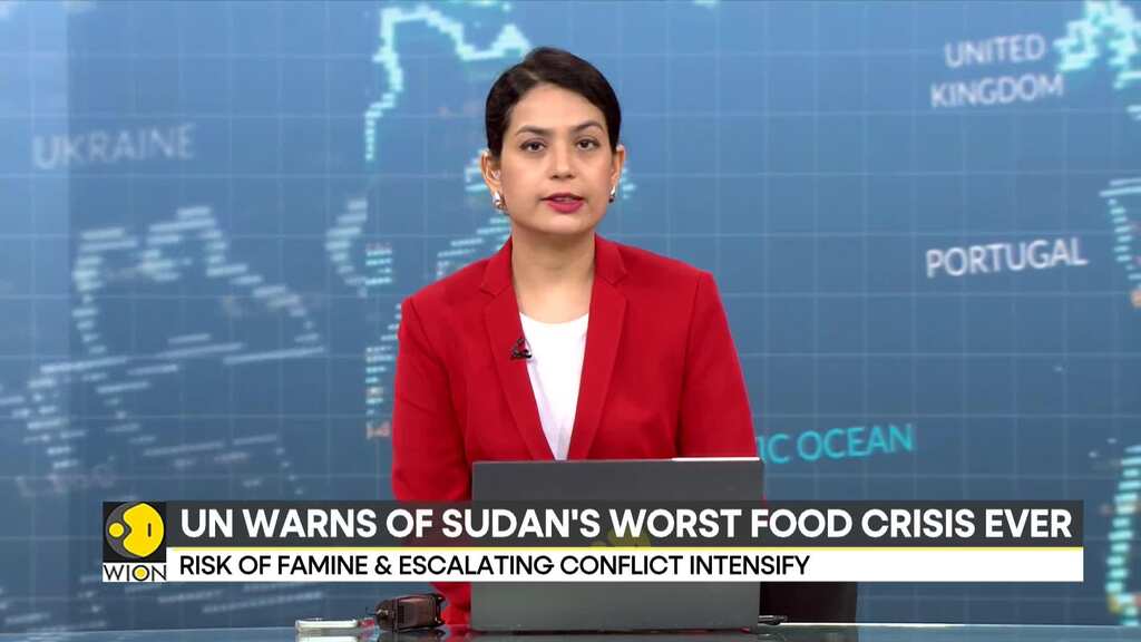 UN calls for immediate ceasefire and international efforts in Sudan