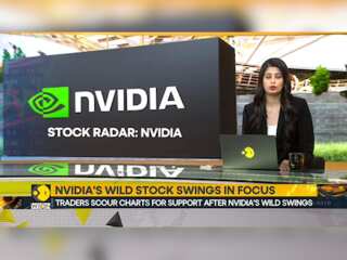Nvidia's wild stock swings in focus