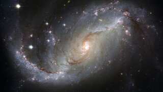 Discovery of ancient stars and massive black holes in young galaxies challenges cosmic theories