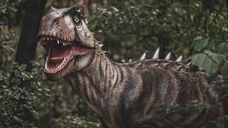 A huge, carnivorous dinosaurs roamed on Earth's polar regions. Here's how the wild beast thrived